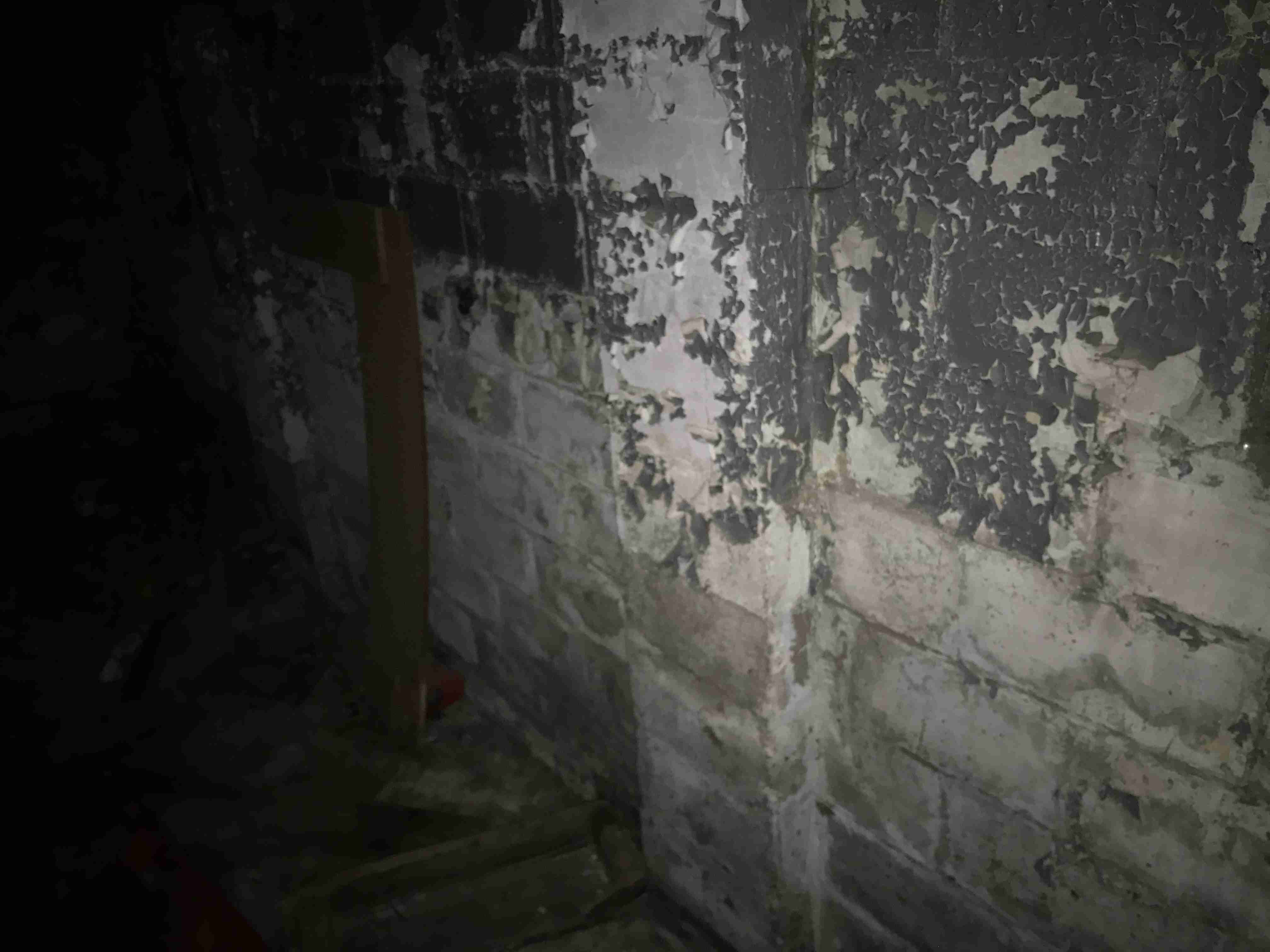 Photo Aug 20, 10 21 20 AM.jpg